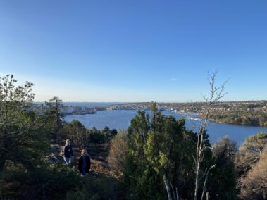 Røysåsen